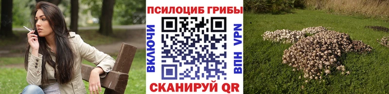 сколько стоит  нарко площадка состав  Галлюциногенные грибы мицелий  Коркино 